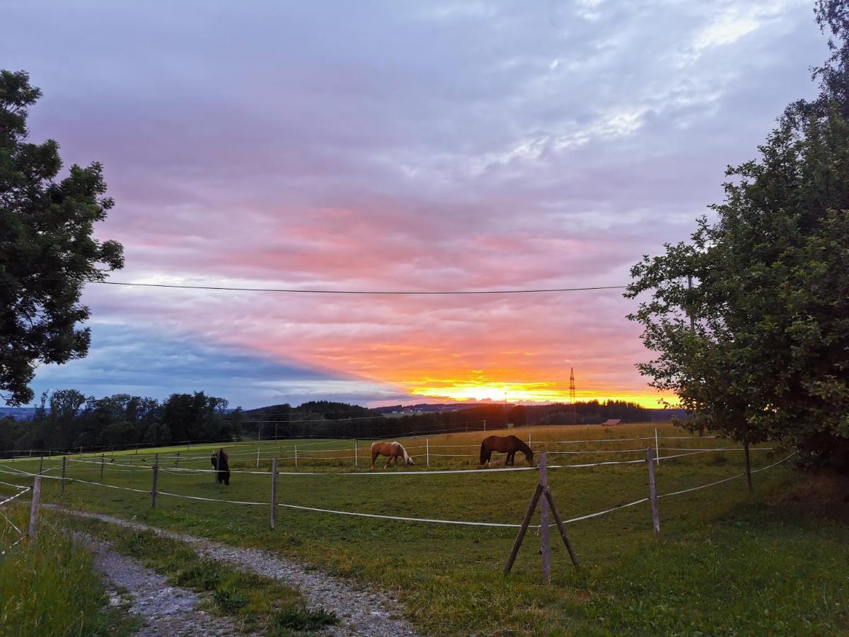 Apartment Auszeit Mit Kueche Viel Ruhe Und Natur Untrasried ภายนอก รูปภาพ